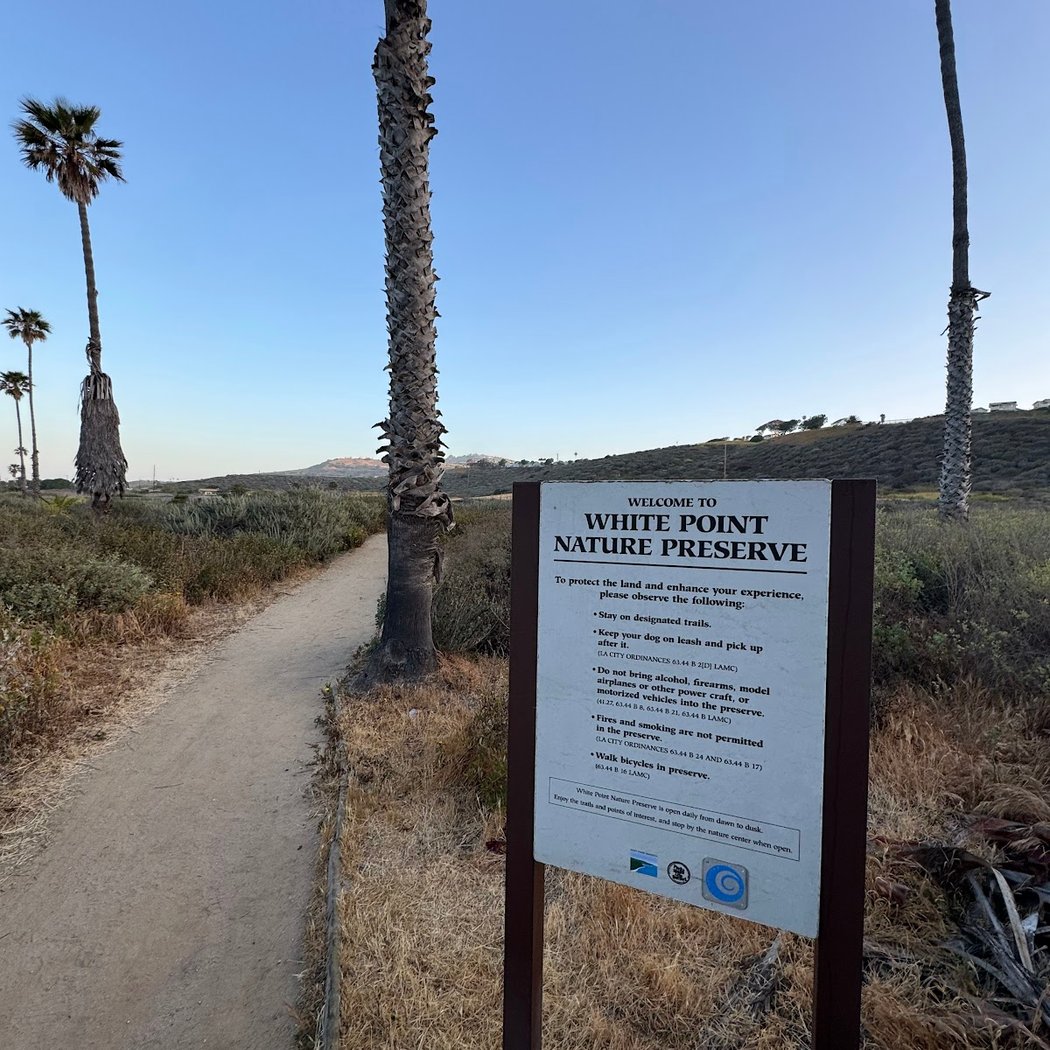 1st Wednesday Bird Walk 1